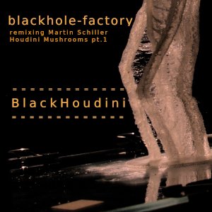 Black Houdini